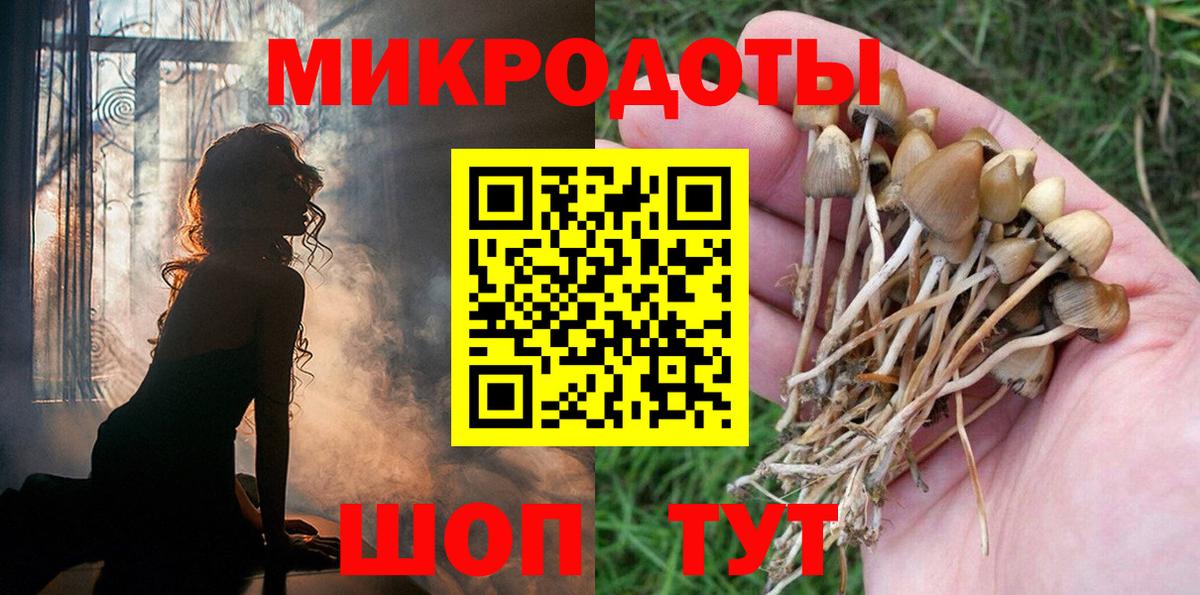 Псилоцибиновые грибы Psilocybine cubensis  Вход с VPN  Псилоцибиновые грибы Psilocybine cubensis  Ярославль 